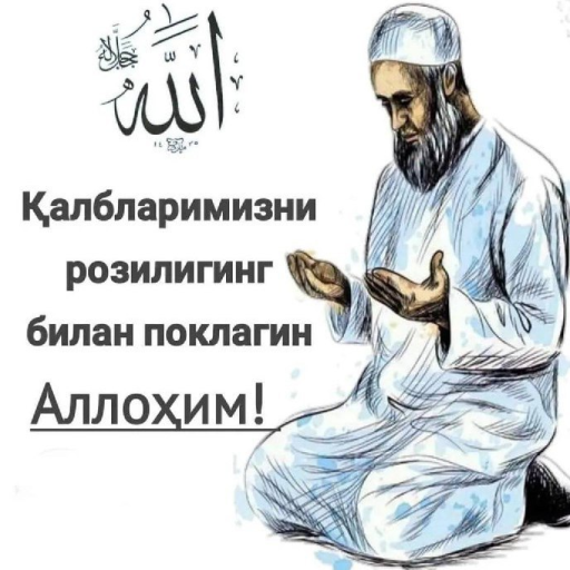 Profile picture of user Anora Egamqulova
