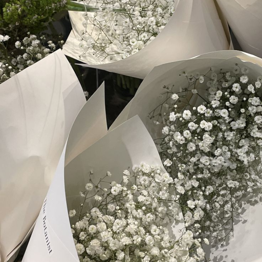 Profile picture of user Mohinur Ortiqboyeva