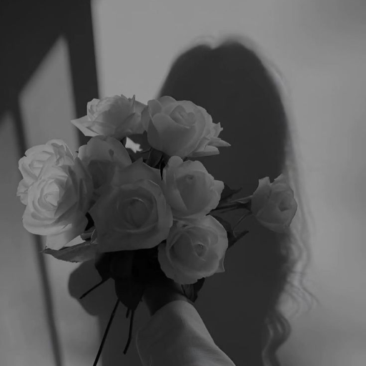 Profile picture of user Ergasheva Yasmina