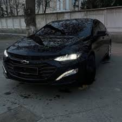 Profile picture of user IBROHIMJON XURMATOV