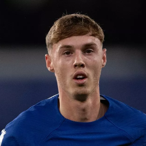 Profile picture of user samandar