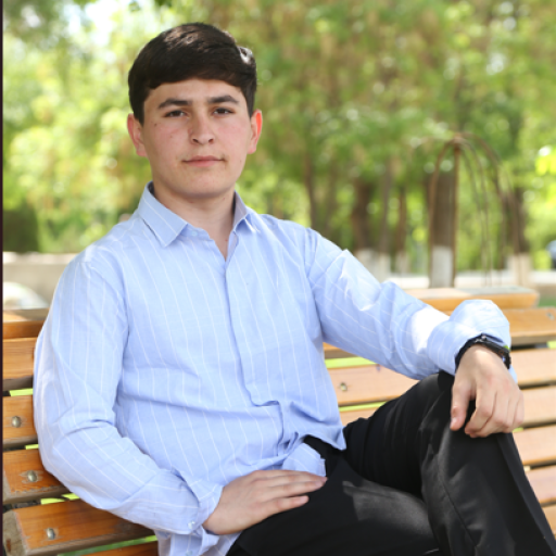 Profile picture of user Nurbek Rayimberganov