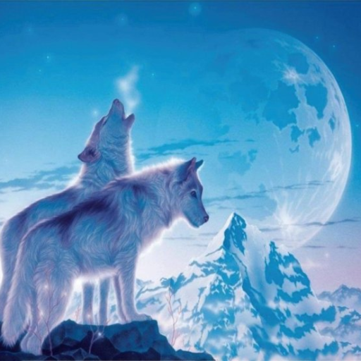 Profile picture of user Hakimjon