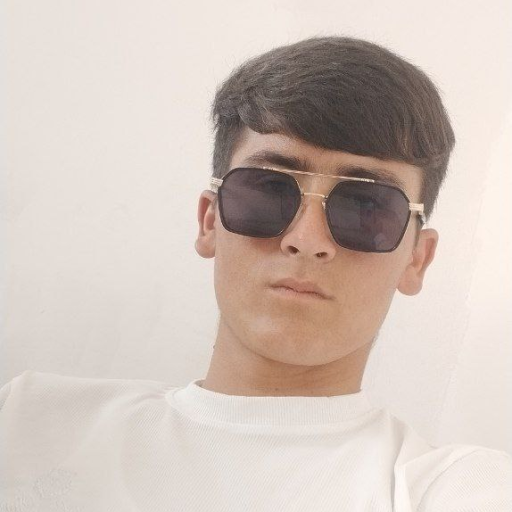Profile picture of user Sanjar Tursunov