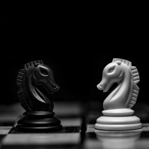 Profile picture of user Chess bor zato