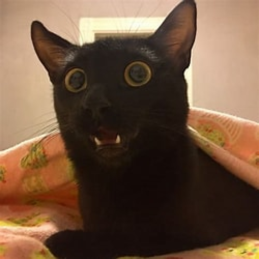 Profile picture of user ..