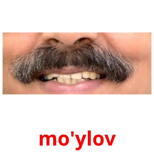 Profile picture of user mo'ydinjon jundor