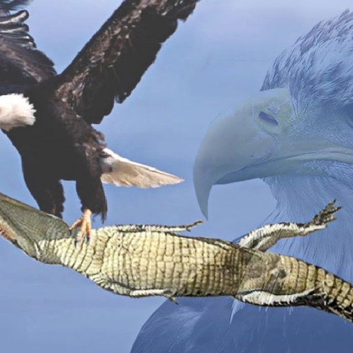 Profile picture of user Raxmatullayev diyorbek