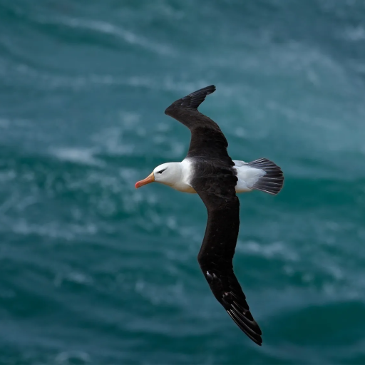 Profile picture of user Dilbar Mamayusupova