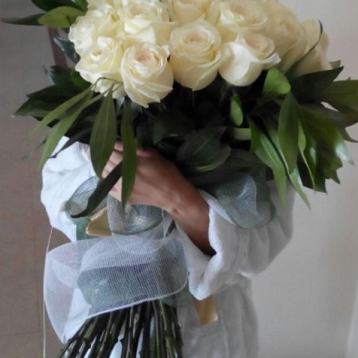 Profile picture of user Zebo