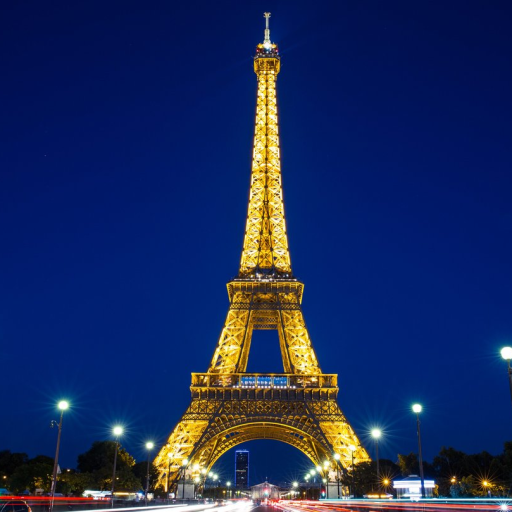 Profile picture of user Toreniyazov Daniyar