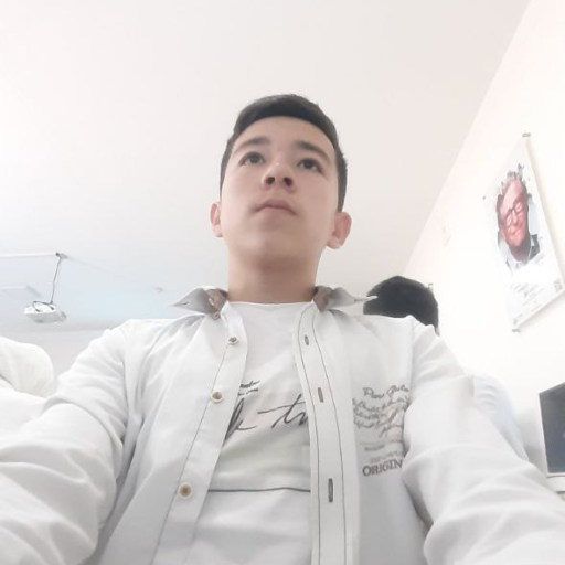 Profile picture of user Mirkmol Ravshanov
