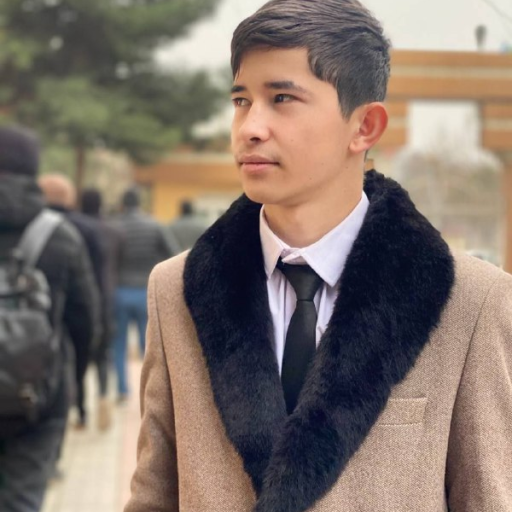 Profile picture of user Mirfayz Mansurov