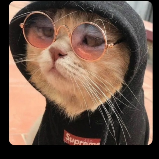 Profile picture of user Tolliboyev Azizbek