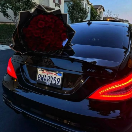 Profile picture of user Mukhammadov Abrorbek