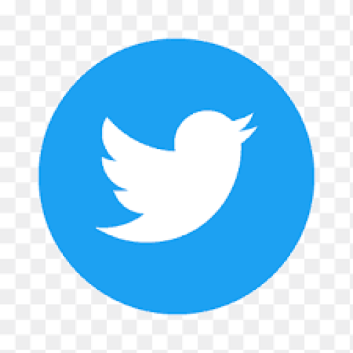 Profile picture of user Twitter