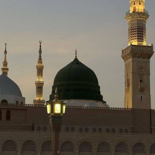 Profile picture of user Gulmira