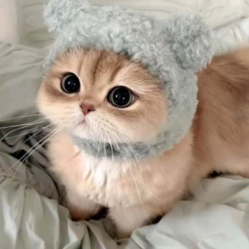 Profile picture of user Abdugaffarova Robiya