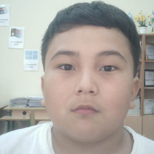 Profile picture of user Zokirjanov ziyoviddin
