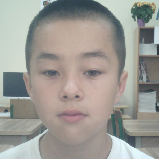 Profile picture of user Umarjanov Ilyosbek