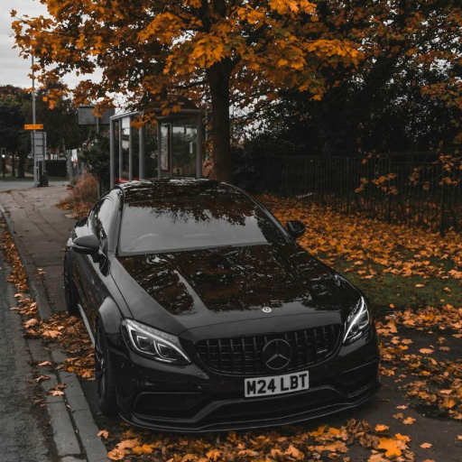 Profile picture of user xojimurod abdumalikov