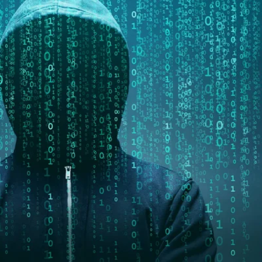 Profile picture of user shohruz