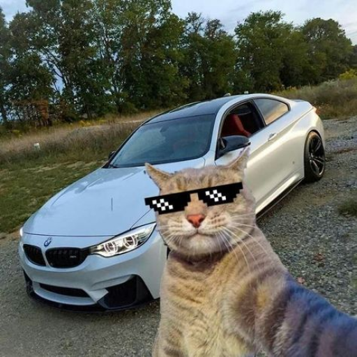 Profile picture of user MrBekhruz