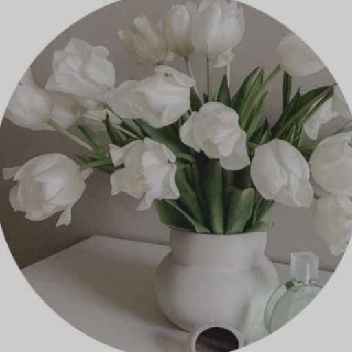 Profile picture of user 🖇🧸Moonlight_Zarina🌕