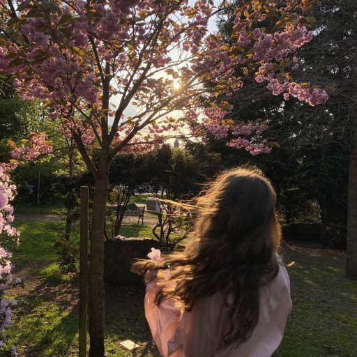 Profile picture of user Sarvinoz Ganiyjonova