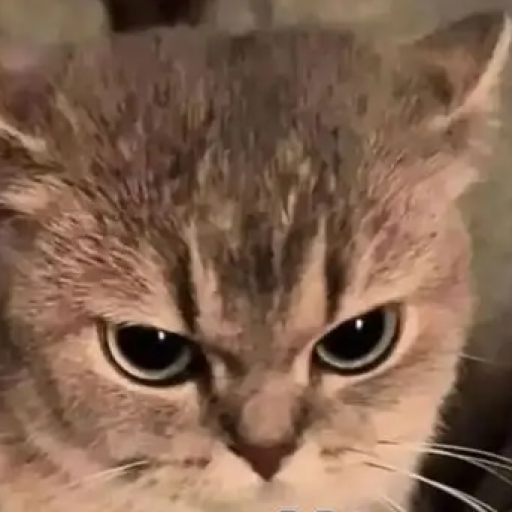 Profile picture of user Mehriddinova Gulsevar