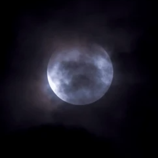 Profile picture of user qalandarovna_096