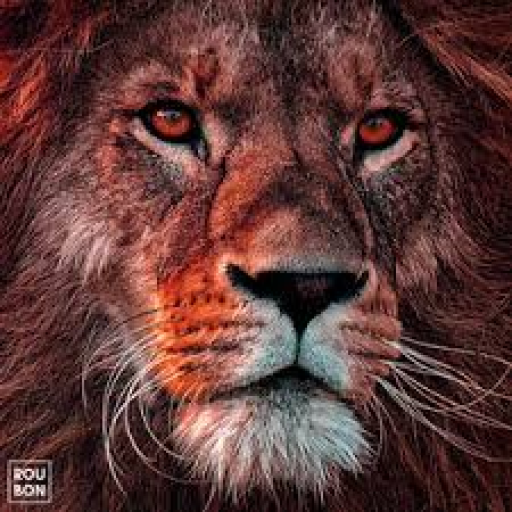 Profile picture of user Behruz