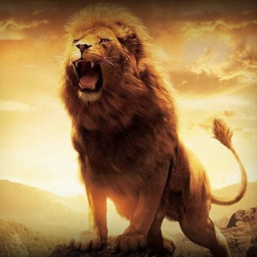 Profile picture of user Behruz