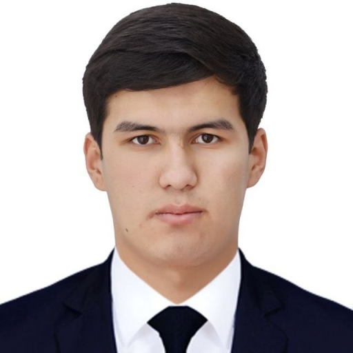 Profile picture of user Behruz Abdukamilov
