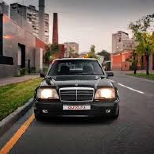 Profile picture of user oybek nasriddinov