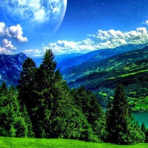 Profile picture of user Yodgorova Durdona