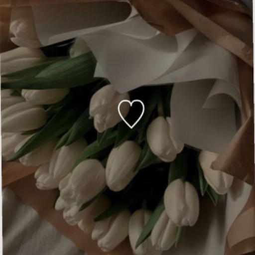 Profile picture of user Xolisa Begnazarova