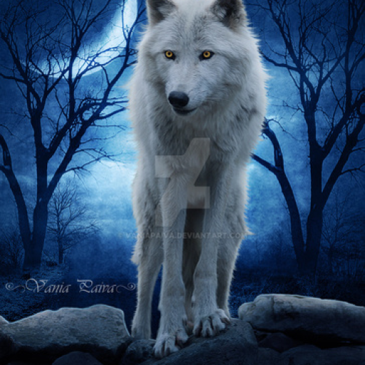 Profile picture of user Buriboyeva Ziyoda