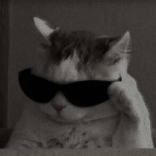 Profile picture of user ...