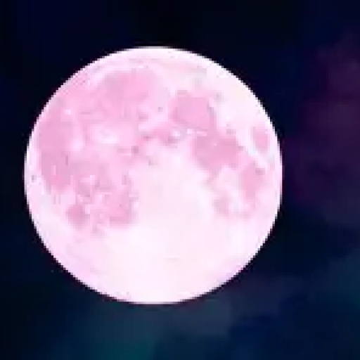 Profile picture of user Kamalova Munisa