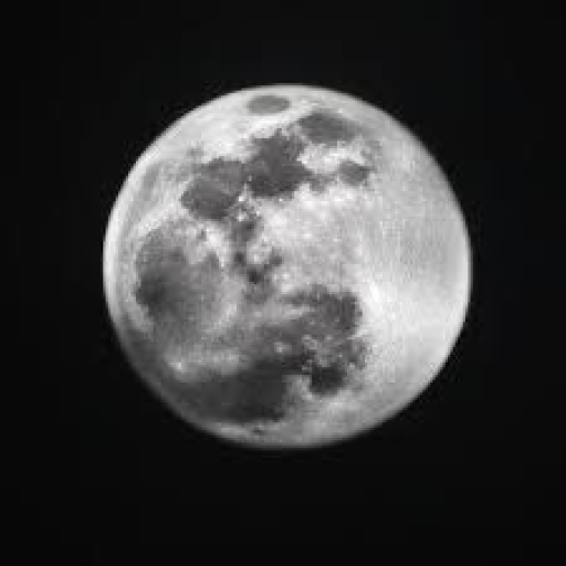 Profile picture of user 卂丂ㄒ尺ㄖㄖㄚ