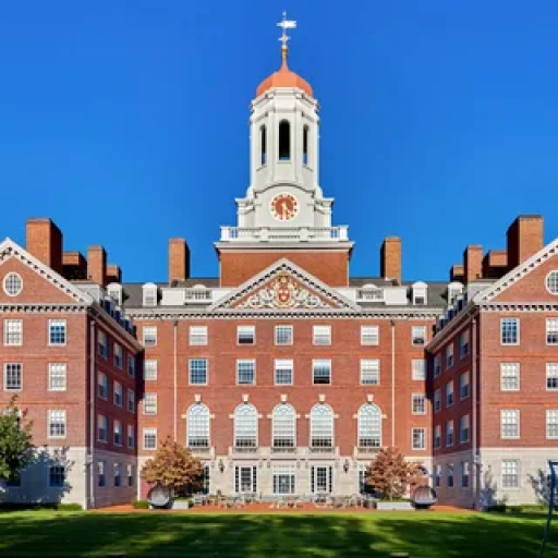 Profile picture of user Narzullayev Mirshod