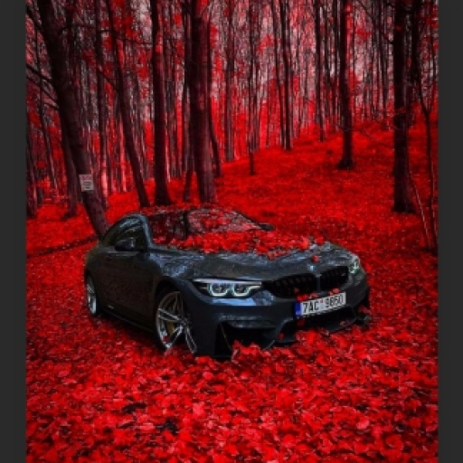 Profile picture of user ulugbek