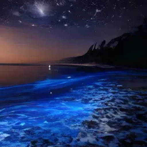 Profile picture of user behruz