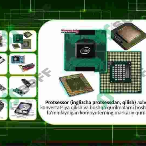 Profile picture of user bardiniyaz bardiniyz