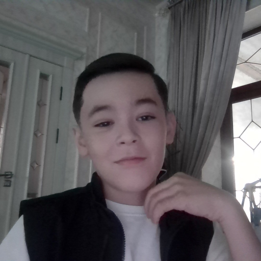 Profile picture of user To'layev Azizbek