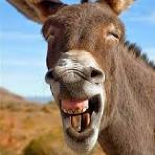 Profile picture of user Davlatov_07_09