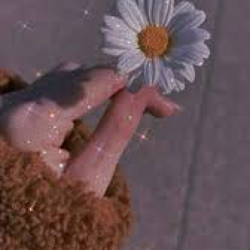 Profile picture of user nodirabegim