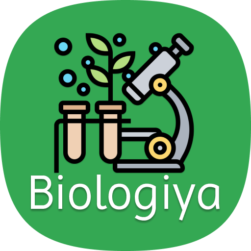 Profile picture of user Karimboyev Humoyun
