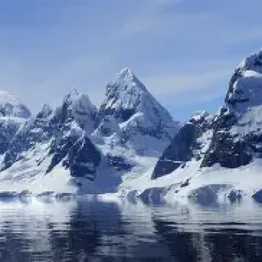 Profile picture of user Husanov Temur